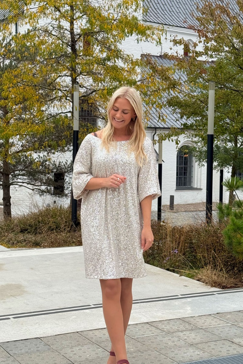 Noella - Kjole - Lorah Dress - Silver (Levering uge 46)